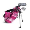 Left Hand UL42-s 4 Club Stand Set, Pink/White Bag -Golf Sports Shop 14862 main.default