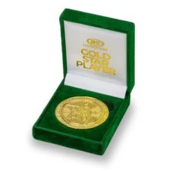 Level 5 Gold Star Player Coin