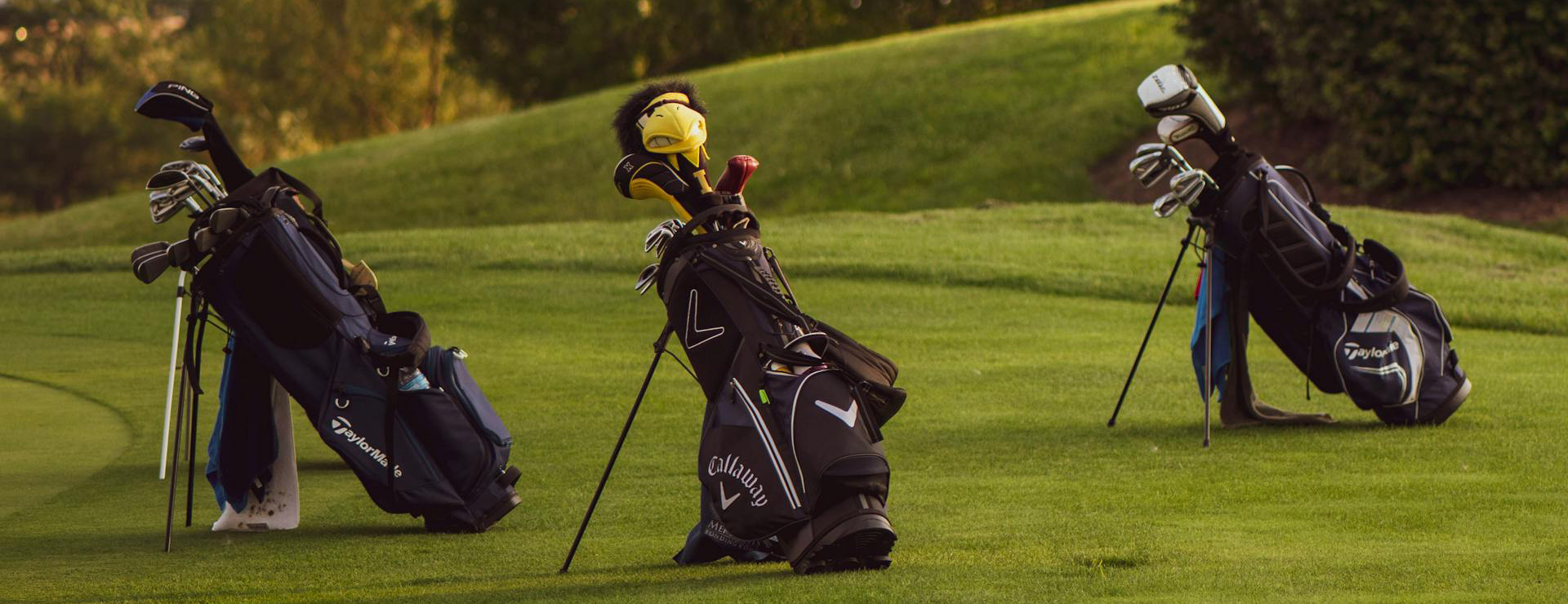 Golf Sports Shop 3 Golf Sports Shop -Golf Sports Shop pexels ramademo 1116200106 20992837